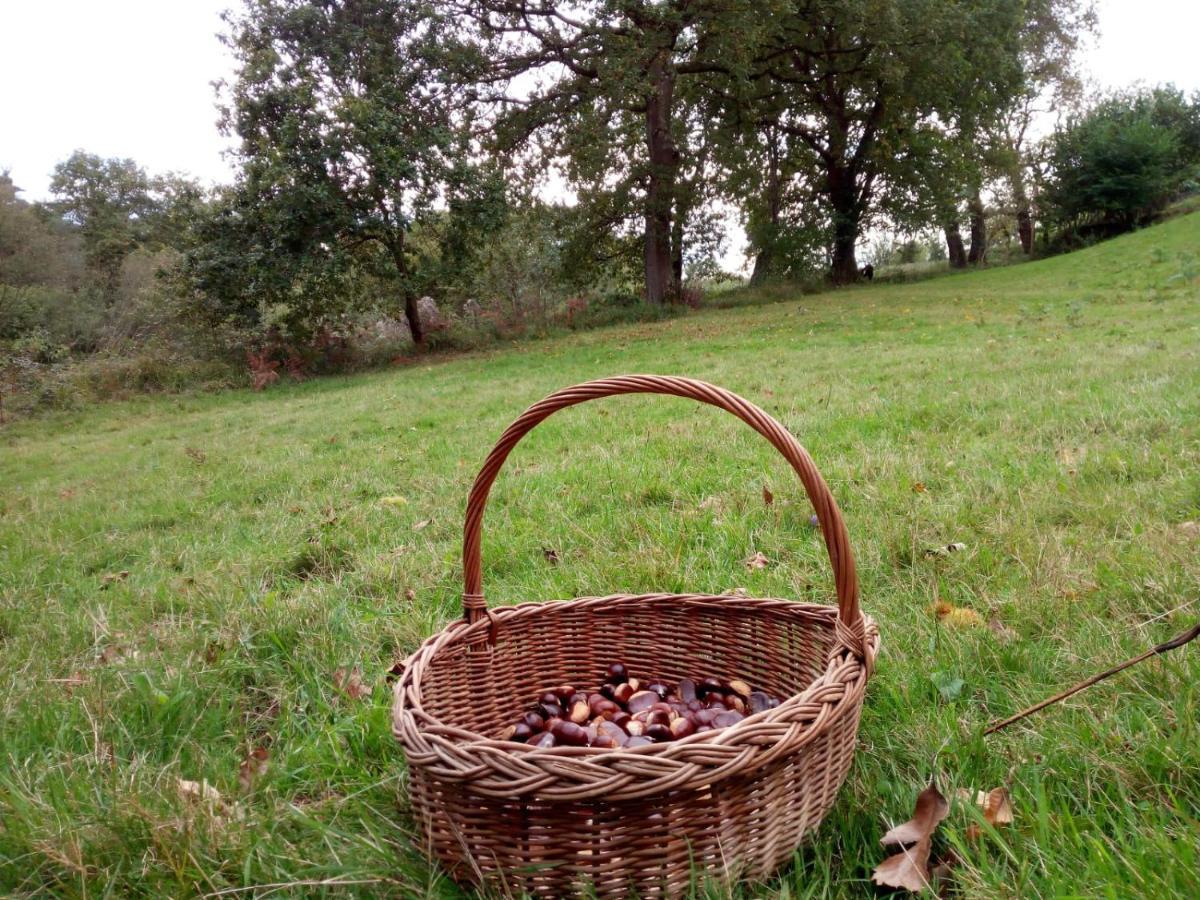 Casa Pepin - Sagasta Rural Oviedo旅馆 外观 照片