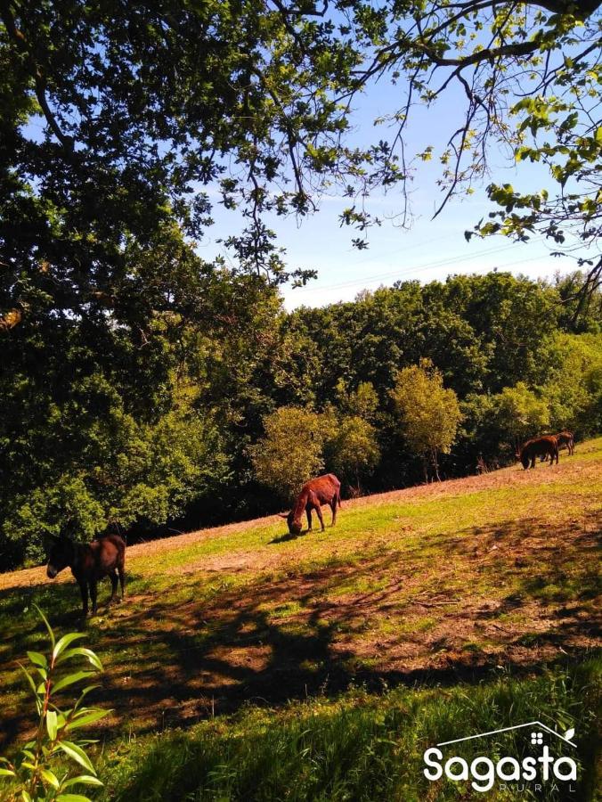 Casa Pepin - Sagasta Rural Oviedo旅馆 外观 照片