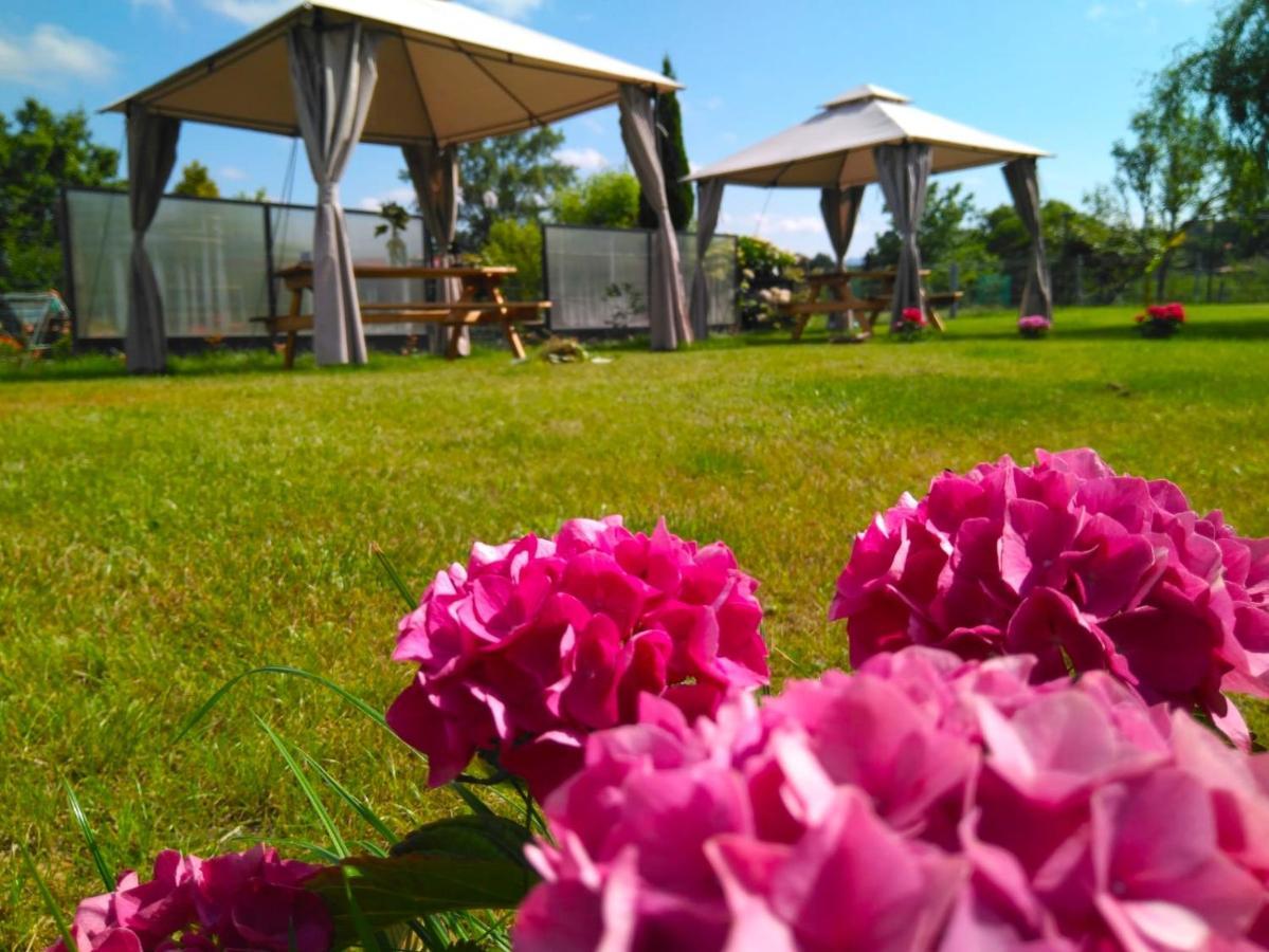 Casa Pepin - Sagasta Rural Oviedo旅馆 外观 照片